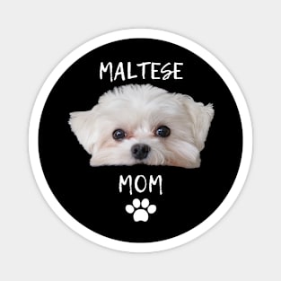 Cute T-shirt for mom of a Maltese Magnet